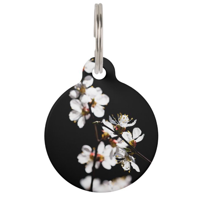 Médaillon Pour Animaux Fleurs Sakura (Devant)