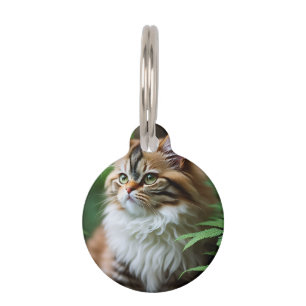 Médaillon Pour Animaux "Fluff and Cuddles : The Chubby Persian Cat"