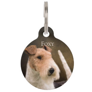 Médaillon Pour Animaux Fox Terrier de fil