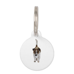Médaillon Pour Animaux Fox Terrier, Personnaliser Ce Chien Tag