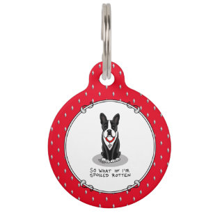 Médaillon Pour Animaux Gâté Boston Terrier chien (noir) Mignon