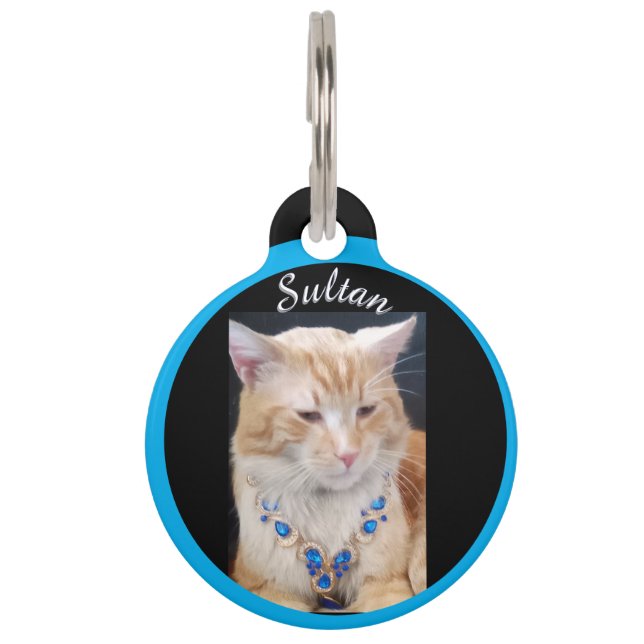 Médaillon Pour Animaux Ginger Cat, Bijoux, Nom et personnaliser photo, (Devant)