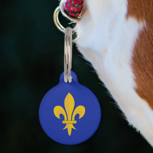 Médaillon Pour Animaux Gold Fleur de Lis sur Royal Blue
