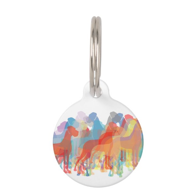 Médaillon Pour Animaux Grands Danois élégants (Devant)