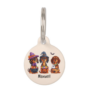 Médaillon Pour Animaux Halloween Dachshund Chiens Citrouille Candy Bucket