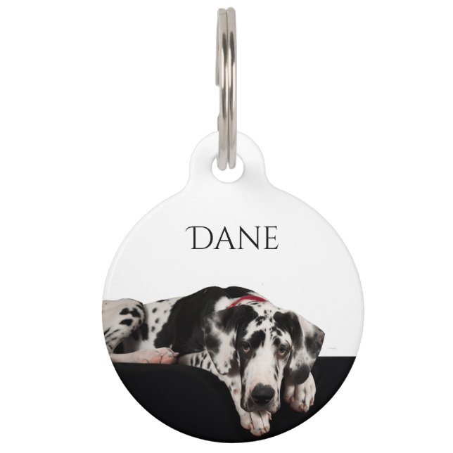 Médaillon Pour Animaux Harlequin great dane (Devant)
