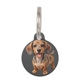 Médaillon Pour Animaux Heureux chiot teckel