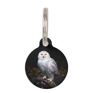 Médaillon Pour Animaux Hibou des neiges majestueux d'hiver