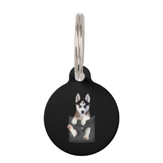 Médaillon Pour Animaux Husky Sibérien Dans La Pocket Puppy