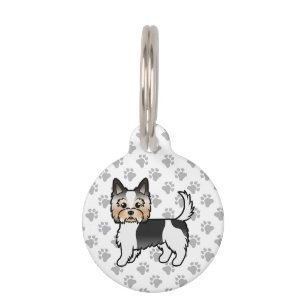Médaillon Pour Animaux Informations sur le Biewer Terrier Yorkshire Terri