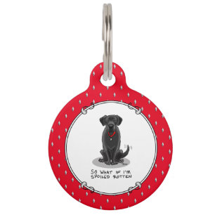 Médaillon Pour Animaux Joli Labrador Retriever Noir Gâté à l'Os