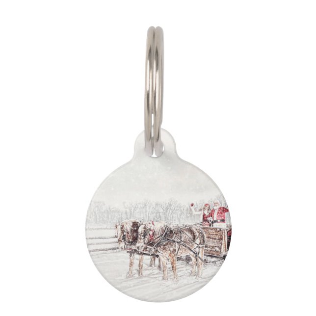 Médaillon Pour Animaux Joyeux Noël (Devant)
