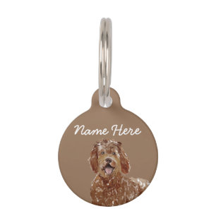 Médaillon Pour Animaux Labradoodle