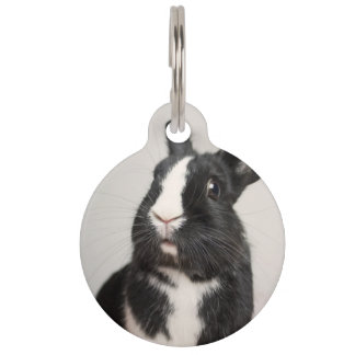 Médaillon Pour Animaux Lapin noir et blanc adorable