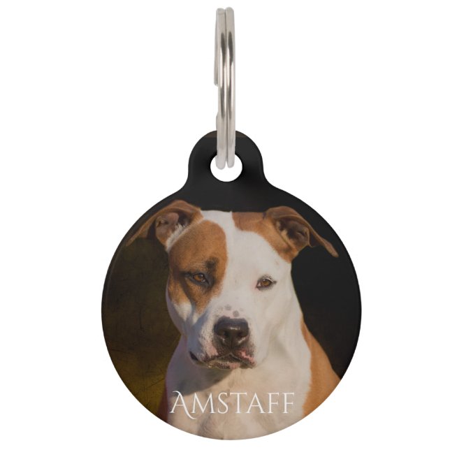 Médaillon Pour Animaux Le Staffordshire Terrier américain (Devant)