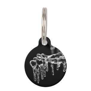 Médaillon Pour Animaux l'hiver