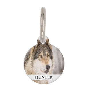 Médaillon Pour Animaux Loup animal de compagnie photo votre animal nom am