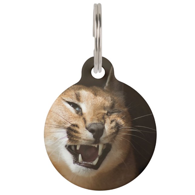 Médaillon Pour Animaux Lynx Farouche (Devant)