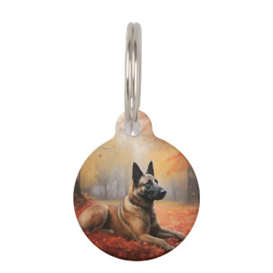 Médaillon Pour Animaux Malinois Belge dans les feuilles d'automne qui tom