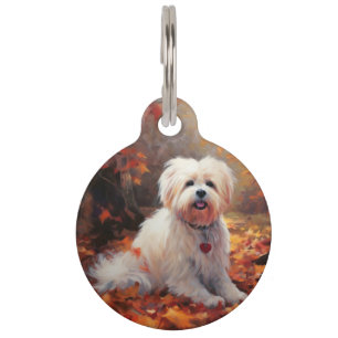 Médaillon Pour Animaux Malti Tzu à l'automne les feuilles tombent inspire