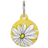Marguerite lunatique jaune et blanche avec le