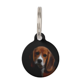 Médaillon Pour Animaux Médaillon pour chien  Beagle