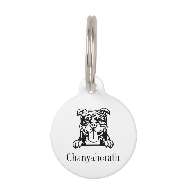 Médaillon Pour Animaux médaillons personnalisés avec nom pour chien ameri (Devant)