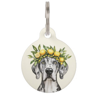 Médaillon Pour Animaux Merle Great Dane Chien Lemon Crown