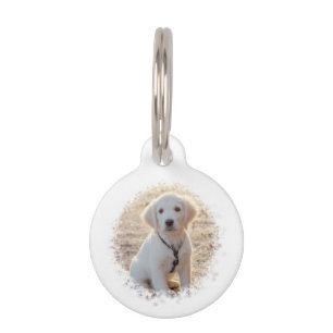 Médaillon Pour Animaux Modèle de photo de compagnie personnalisable avec