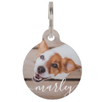 Moderne Simple Jouer Élégant Chic Pet Photo
