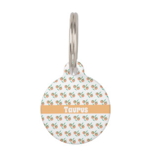 Médaillon Pour Animaux Motif Oranges Fruit