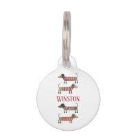 Nom de chien saucisse Dachshund