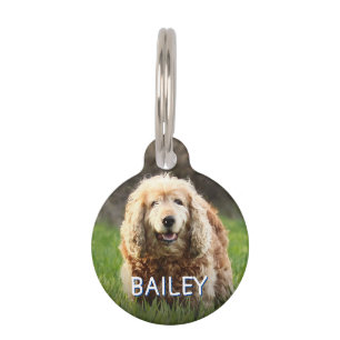 Médaillon Pour Animaux Nom du monogramme de plage en détresse Adresse ID