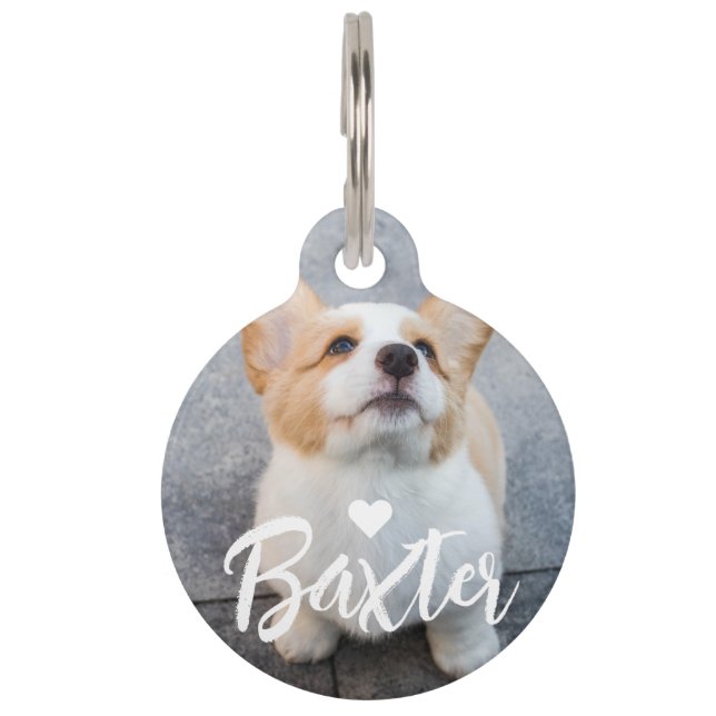 Médaillon Pour Animaux Nom du script de photo pour animaux de compagnie n (Devant)