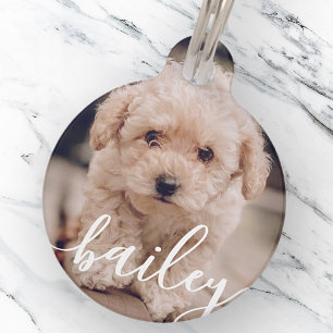 Médaillon Pour Animaux Nom et photo chic simple et élégant de l'animal 