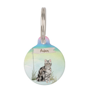 Médaillon Pour Animaux Nom personnalisé American Short cheveux Pet Cat