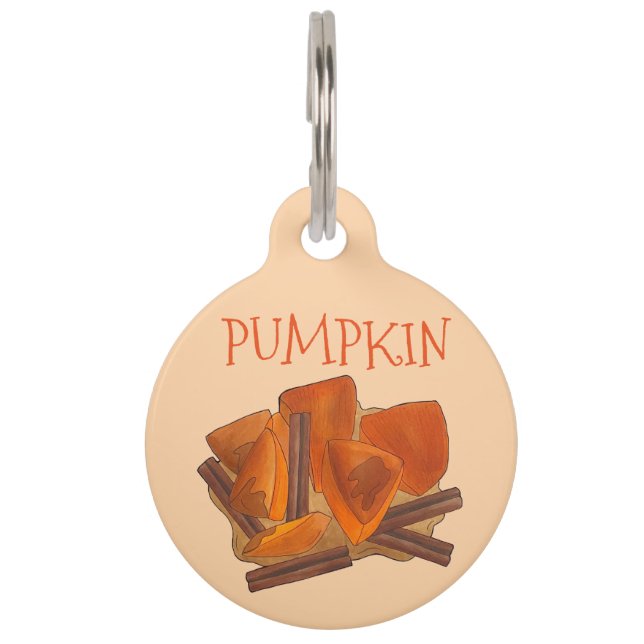 Médaillon Pour Animaux Orange Citrouille Patch Thanksgiving Halloween Aut (Devant)