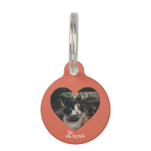 Médaillon Pour Animaux Ornement personnalisable