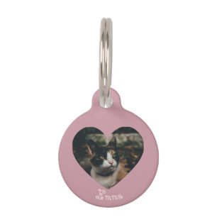 Médaillon Pour Animaux Ornement personnalisable