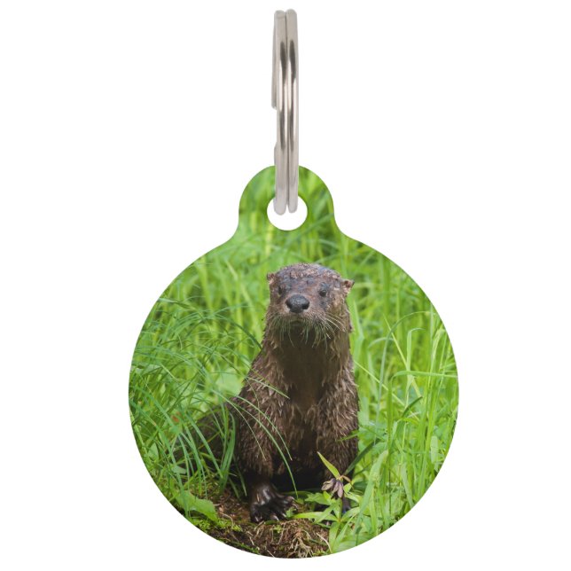 Médaillon Pour Animaux Otter (Devant)