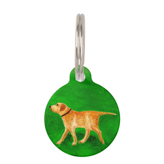 Médaillon Pour Animaux Out Walking My Dog (Devant)