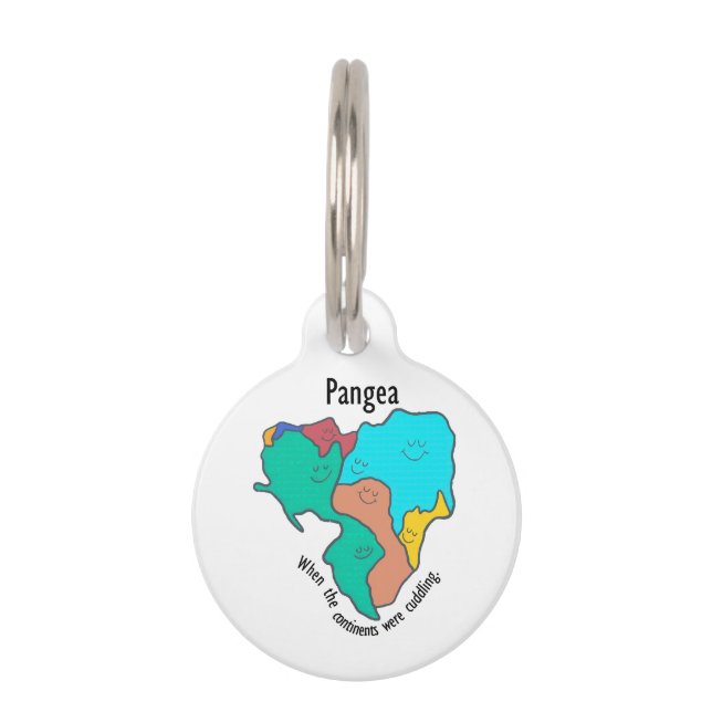 Médaillon Pour Animaux Pangea Continents Cuddin Multicolor (Devant)