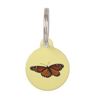 Médaillon Pour Animaux Papillon Limenitis Artémis Photographie de la Natu