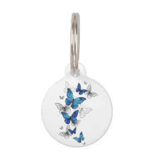 Médaillon Pour Animaux Papillons volants bleus Morpho