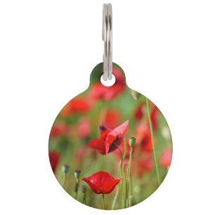 Médaillon Pour Animaux Pavots