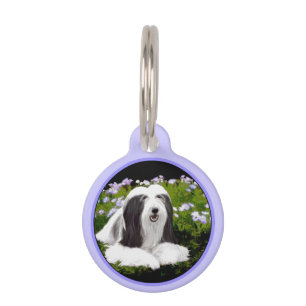 Médaillon Pour Animaux Peinture à collie à poils - Joli art original de c