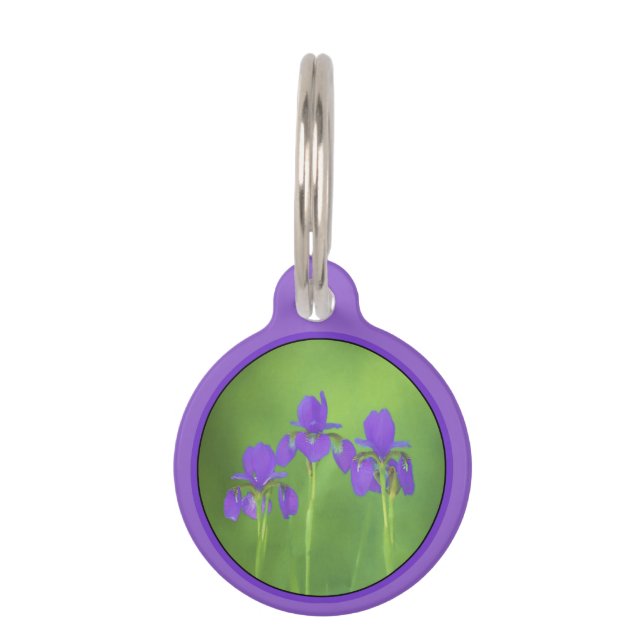 Médaillon Pour Animaux Peinture Iris Violet - Art Fleur Originale (Devant)