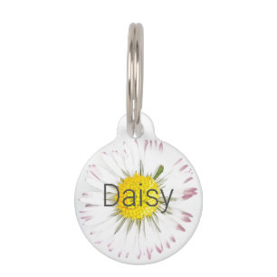 Médaillon Pour Animaux Personnalisable Daisy