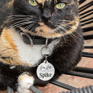 Médaillon Pour Animaux Personnalisé Funny Dog Pet tag