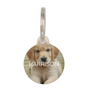 Médaillon Pour Animaux Personnalisé Nom photo contact deux côtés